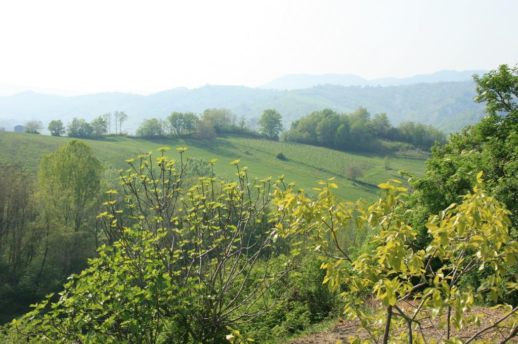 Casa Dell' Abbondanza B&B Agriturismo Vigoleno Exterior photo
