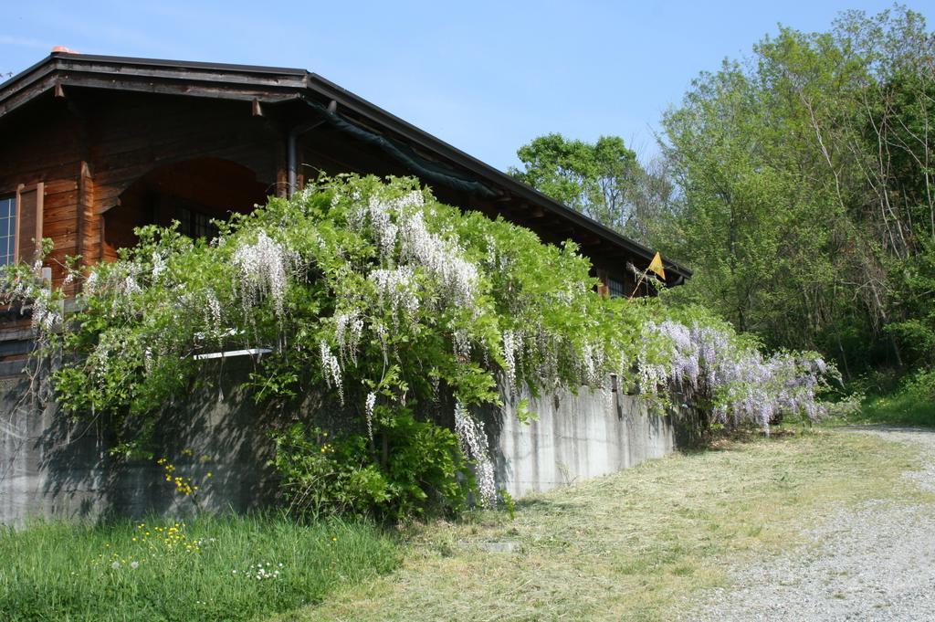 Casa Dell' Abbondanza B&B Agriturismo Vigoleno Exterior photo