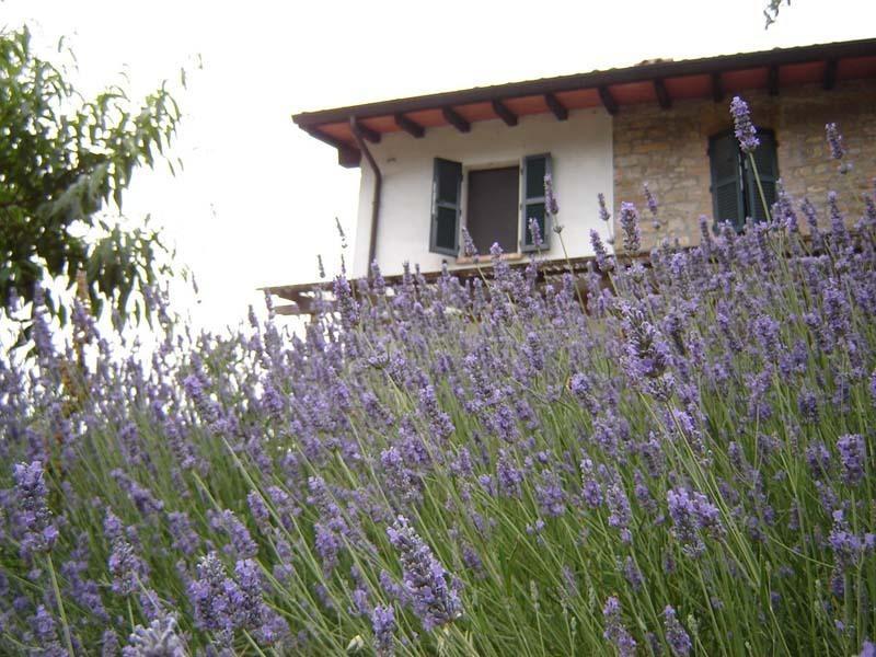 Casa Dell' Abbondanza B&B Agriturismo Vigoleno Exterior photo